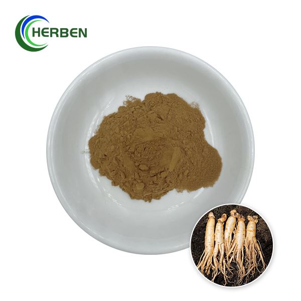 Ginseng nplooj Extract